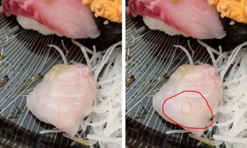 Hoảng hồn phát hiện món sushi hơn 2 triệu đồng có giun ngo ngoe 