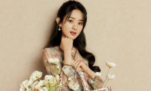 Triệu Lệ Dĩnh đích thị là sao nữ có khả năng biến hàng hiệu thành hàng chợ, bị antifan mỉa mai không ngớt