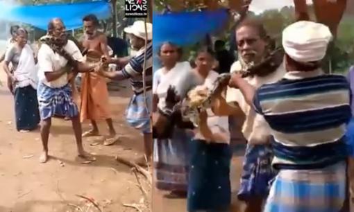 Giải cứu người đàn ông bị trăn khổng lồ siết cổ