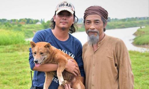 Showbiz mỗi tuần: “Cậu Vàng” bị tẩy chay: Đừng lấy chó Shiba ra để bào chữa!