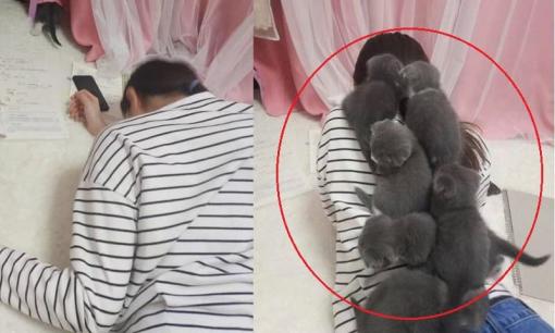 Cô gái đang làm bài tập nằm sấp, nhưng thấy lưng ngày càng nặng, quay đầu nhìn cảnh này không dám nhúc nhích