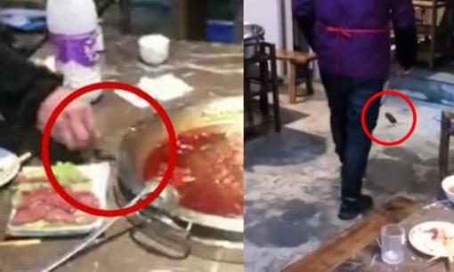 Khách kinh hãi khi đang ăn lẩu thì chuột xuất hiện nhảy 'tung tăng' trên bàn