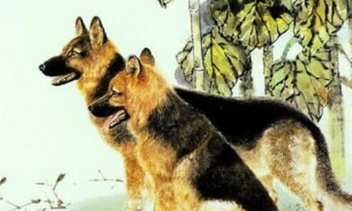 Bước sang tháng 2/2021, Top 3 con giáp có quý nhân nâng đỡ, tiền tài danh vọng đều có đủ, cuộc sống giàu sang, đổi đời ngoạn mục