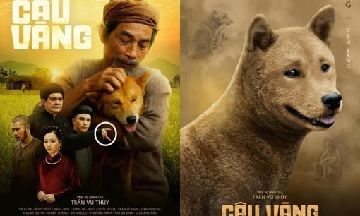 Cậu Vàng lỗ nặng - Cái giá đắt phải trả cho sự coi thường khán giả? 