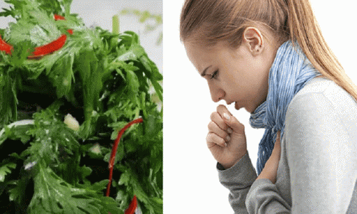 Những người hay bị ho có đờm nên ăn 3 loại rau này để giảm ho, long đờm và phòng tránh nhiều bệnh tật nhé!