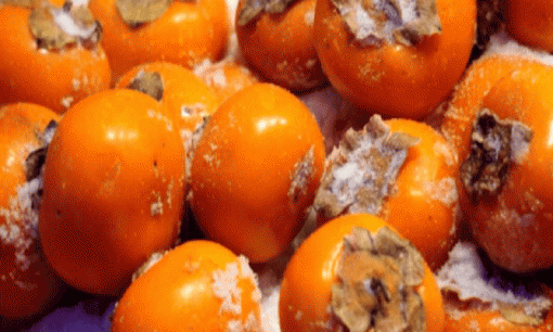 Cho quả hồng vào tủ lạnh và đông lạnh có một số tác dụng kỳ diệu, bây giờ vẫn chưa muộn để biết!