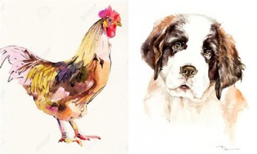 4 cặp con giáp lấy nhau sẽ xảy ra chuyện, khó mà hạnh phúc được