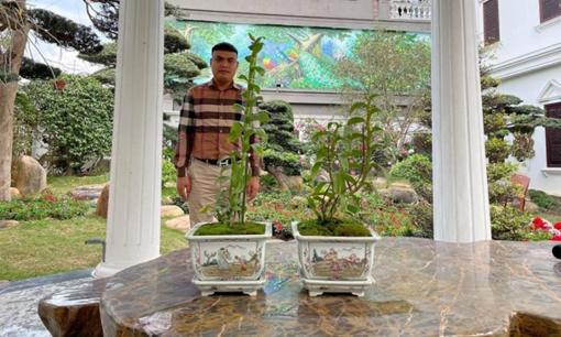 Nghệ nhân 8x Bùi Hữu Giang chia sẻ bí quyết “nịnh” lan