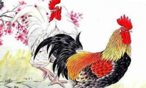 5 ngày cuối cùng của năm Canh Tý, top 3 con giáp ăn lộc lớn, vận may chạm nóc, phúc khí tăng cao ngút trời, vượng vận quý nhân