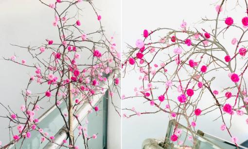 Cách làm hoa đào giả cực đẹp để trang trí ngày Tết mà không tốn nhiều tiền