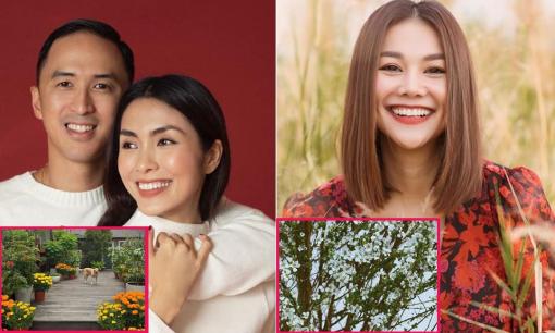 Loại hoa Tết nào đang được sao Việt ưa chuộng: Tăng Thanh Hà mê hoa cúc, Thanh Hằng lại là fan của tuyết mai