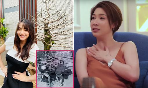 Hải Băng bị trộm mất cây mai gần 100 triệu và loạt sao Việt gặp vận xui những ngày giáp Tết