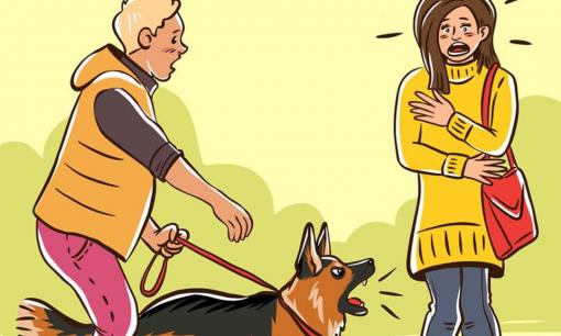 Tại sao chó lại sủa và cắn một số người, nhưng với người khác lại không?