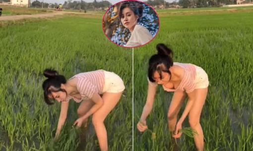 Bà Tưng nói gì khi clip đi dặm lúa hớ hênh vòng một bị nhiều dân mạng bình luận khiếm nhã? 