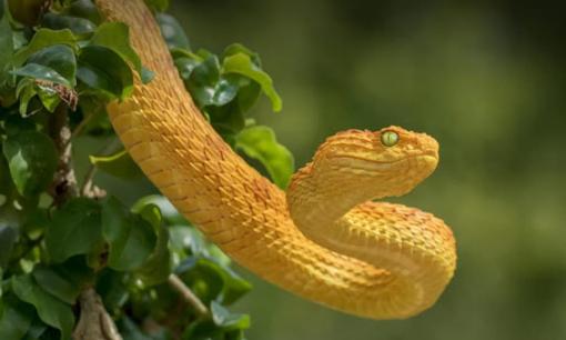 15 ngày đầu tháng 3 dương lịch, Top 3 con giáp giàu có bất ngờ, vạn sự hanh thông, tình duyên vượng vận, cuộc sống lên như diều gặp gió