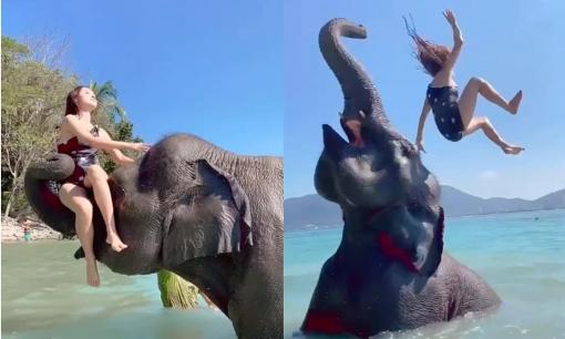 Ngồi lên đầu voi chụp ảnh 'sống ảo', gái xinh nhận cái kết ê chề
