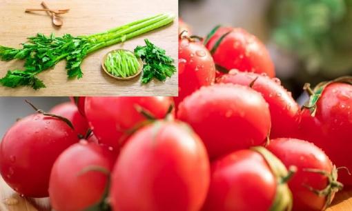 Ăn cà chua với thực phẩm này sẽ giúp đầu óc minh mẫn hơn, điều hòa hơi thở, huyết áp ổn định