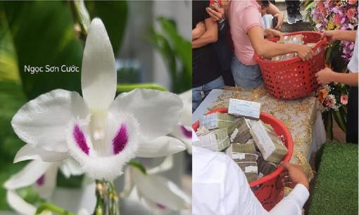 Xôn xao thương vụ mua bán lan đột biến Ngọc Sơn Cước 250 tỷ ở Quảng Ninh