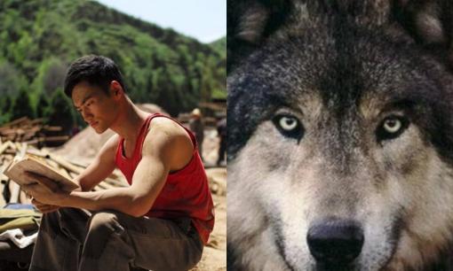 Người ta thường nói “30 như sói, 40 như hổ” có nghĩa là gì? Kinh nghiệm người xưa để lại luôn luôn có lý