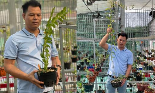 Ông chủ vườn lan Lê Ngọc Hùng: Thành công từ niềm yêu thích thuở nhỏ