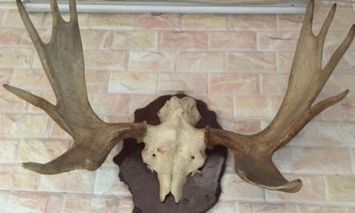 Những đồ vật mang đầy 'tà khí', chớ dại mà đặt trong nhà kẻo tai ương kéo đến, vận xui đeo bám