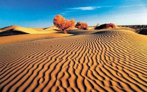 Tại sao bạn cần phải nhặt một 'hòn đá' trong sa mạc? Bạn bè nói: không nhặt được là ngu