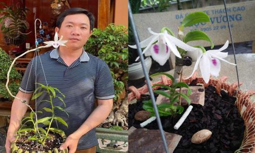 Cơ duyên đến với nghề trồng lan đầy tình cờ của nghệ nhân Nguyễn Ngọc Vương