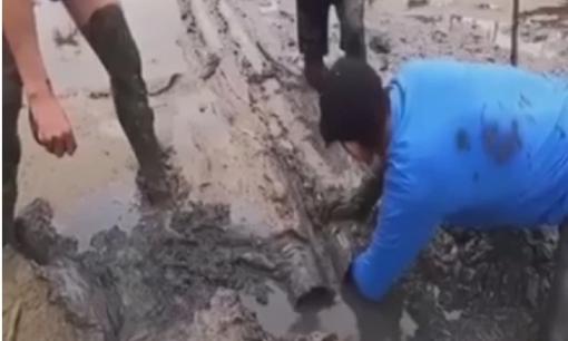 Tưởng bắt được ba ba, con vật bò ra khiến nhóm thanh niên hoảng sợ vội tháo chạy