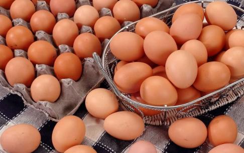 Trứng vịt, trứng ngỗng, trứng cút, trứng chim bồ câu, khác nhau ở điểm nào? 