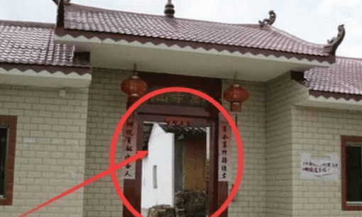 Một khi những thứ này xuất hiện trong nhà, đừng lo lắng, 'chúa tể của sự giàu có' đang tới với gia đình bạn