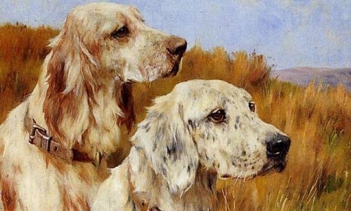 Tử vi tuần tới (12/4 - 18/4): Top 3 con giáp được Thần Tài phù hộ, cứ ra đường là hốt bạc về nhà, vận may bừng sáng, lộc lá đầy nhà