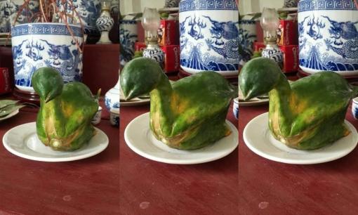 Quả đu đủ 'dị' nhất Việt Nam, gia chủ không nỡ ăn vì cho rằng đó là điềm may mắn