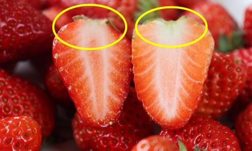 Chọn dâu tây không bị tiêm hormone, nhìn vào vị trí này là bạn sẽ biết, đừng tùy tiện mua sau khi đọc 5 mẹo dưới đây