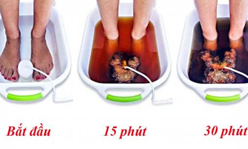 9 cách đơn giản để thải độc tố khỏi cơ thể: Hóa ra sống khỏe lại đơn giản đến thế