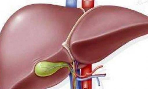 Cơ thể phát ra 4 'tín hiệu cấp cứu' này có thể bạn đã bị ung thư gan, đừng phớt lờ
