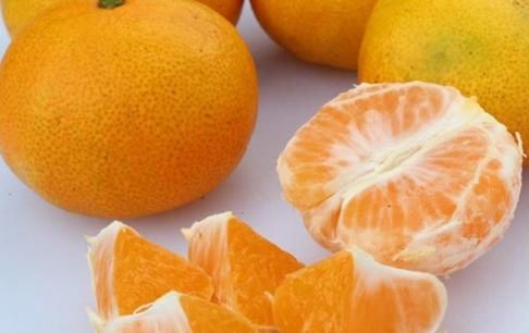 Tốt nhất phụ nữ sau sinh nên ăn những loại trái cây này thường xuyên, không chỉ giúp cho con bú mà còn đào thải chất độc ra khỏi cơ thể