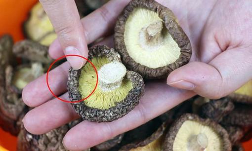 Khi mua nấm hương khô, người biết sẽ nhìn vào 6 điểm này để chọn, chủ cửa hàng đồ khô cũng phải thán phục