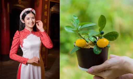 Tưởng Ngọc Hân khoe chậu quất mini, ai ngờ đây là loại bánh do nàng Hậu tự làm
