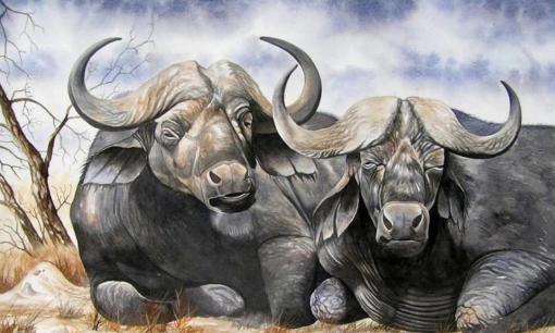 Thành công thường đến muộn, những con giáp này phải thật kiên trì mới đạt được điều mong muốn