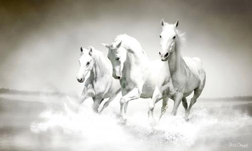 Giữa tháng 6 là thời điểm hoàng kim với 3 con giáp này, tài lộc thăng hoa, tình duyên viên mãn