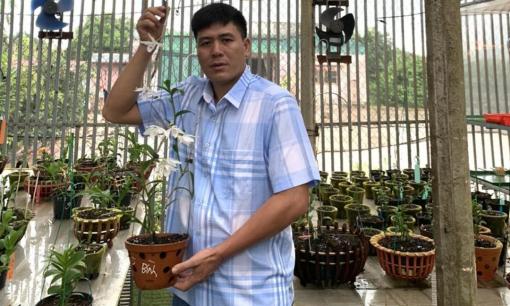 Nghệ nhân Nguyễn Thành Chuyên tiết lộ bí quyết thành công với hoa lan