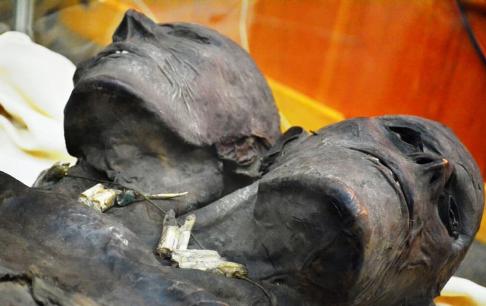 Xác ướp hai đầu khổng lồ được tìm thấy ở Patagonia, Argentina