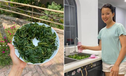 MC Minh Trang chia sẻ một mẹo nhỏ khi vớt rau muống ra đĩa để rau được xanh, không bị nhừ nhũn