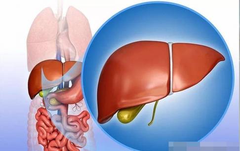 Bệnh gan phát triển đến giai đoạn muộn, không chỉ đau vùng gan, xuất hiện 4 triệu này chứng trên da, hãy đi kiểm tra sớm 