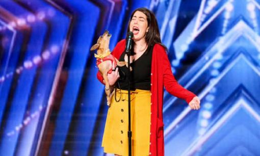 Chú chó giống Chihuahua gây sốt 'Tìm kiếm tài năng Mỹ' khi phô giọng hát cùng chủ