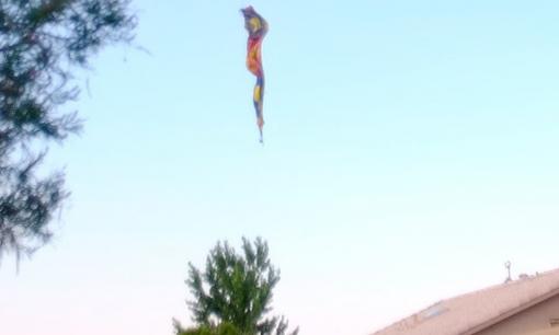 Vướng dây điện, khinh khí cầu 'xì hơi' đâm sầm xuống đất khiến 5 người thiệt mạng