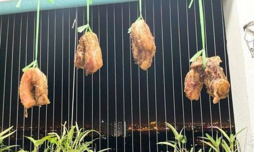 Cô vợ 'đu trend' làm món thịt ba chỉ phơi nắng, kết quả đem chiên thì 'thối 7 gian nhà, 3 gian bếp', dân mạng chỉ ra loạt sai lầm