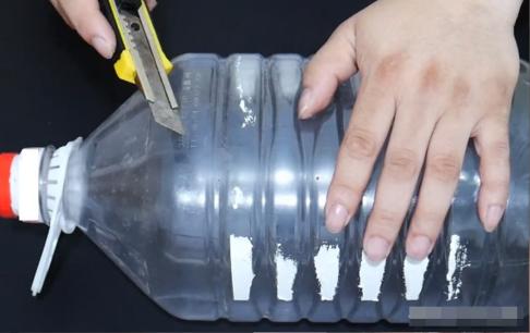 Đừng bán hoặc vứt bỏ những vỏ chai dầu một cách lãng phí. Hãy để chúng ở nhà và tận dụng theo cách này, nó rất “có giá trị”