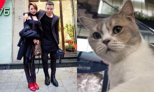 Hoàng Touliver bỗng nhiên có 'vợ hai', Tóc Tiên phản ứng như thế nào?