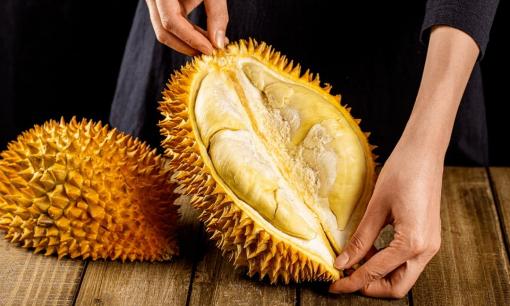 Vì sao sầu riêng vốn nổi tiếng 'nặng mùi' lại trở thành 'quý tộc' trong các loại trái cây?